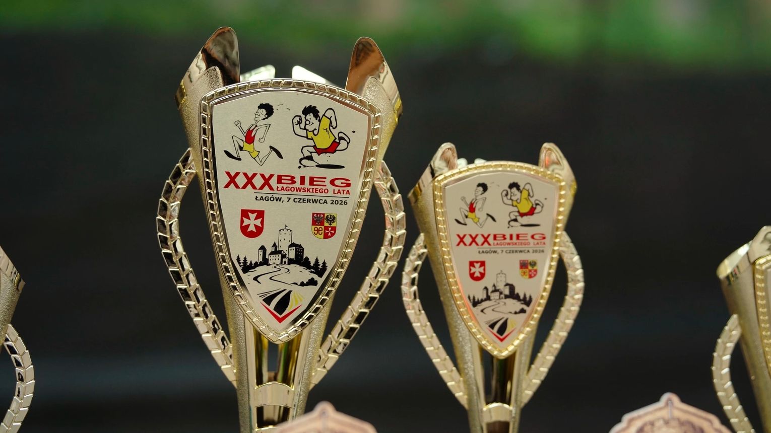 XXX Bieg Łagowskiego Lata - Grand Prix Powiatu Świebodzińskiego