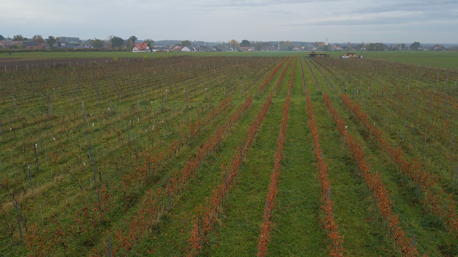 Zabytkowe Perły Województwa Lubuskiego odc. 10 (Muzeum Obozów Jenieckich w Żaganiu | Winnica Sagan)