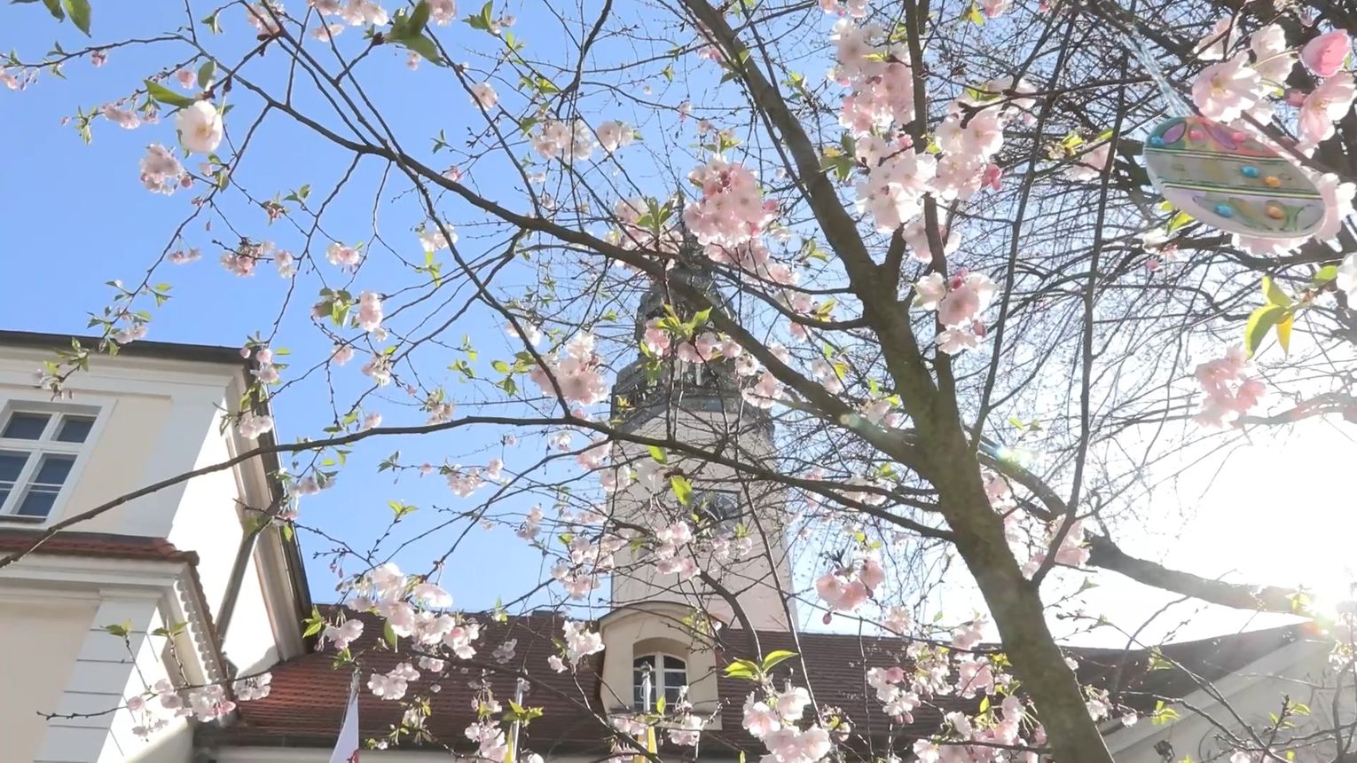 Życzenia Wielkanocne 2026 - Prezydent Miasta Zielona Góra Marcin Pabierowski