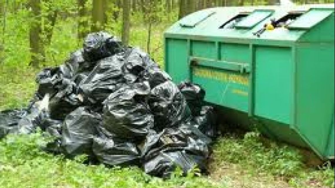 Akcja "Tydzień - czysty las"