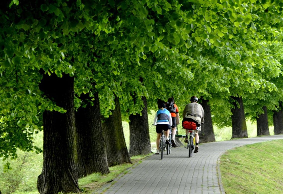  Będzie kolejne 7 km ścieżki rowerowej na wale!