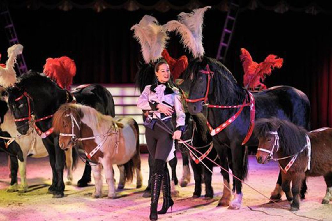 Cyrk Korona prezentuje Extreme show nr.1 w Polsce! Zobaczycie je także w Słubicach