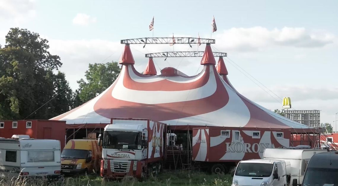 Czy warto chodzić do cyrku? Mieszkańcy podzieleni w sondzie ulicznej