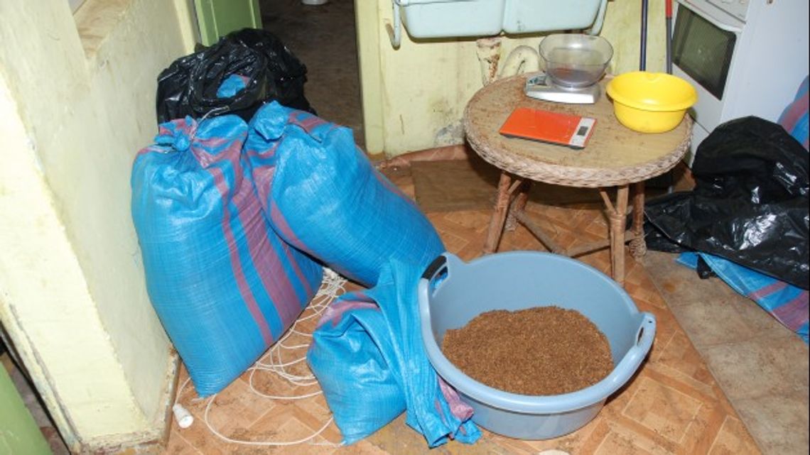 Dwudziestolatkowie handlowali tytoniem Dwudziestolatkowie handlowali tytoniem