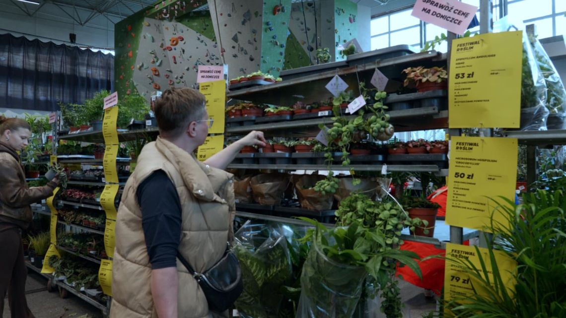 Festiwal roślin w Zielonej Górze już za nami