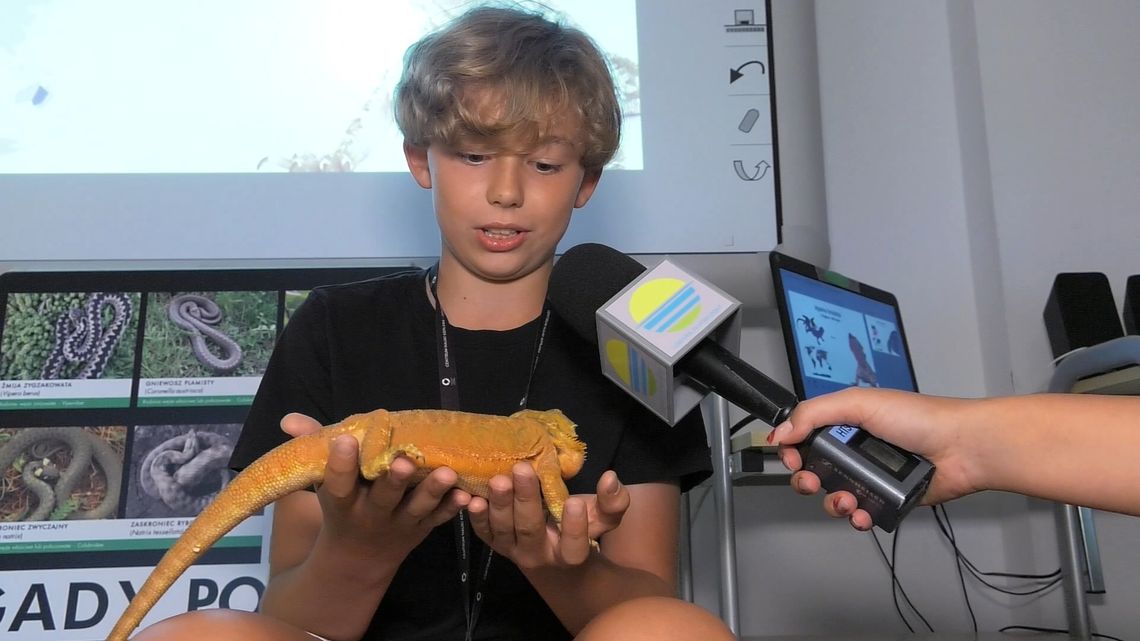 Gady z bliska – wakacyjne spotkanie z naturą w Centrum Przyrodniczym