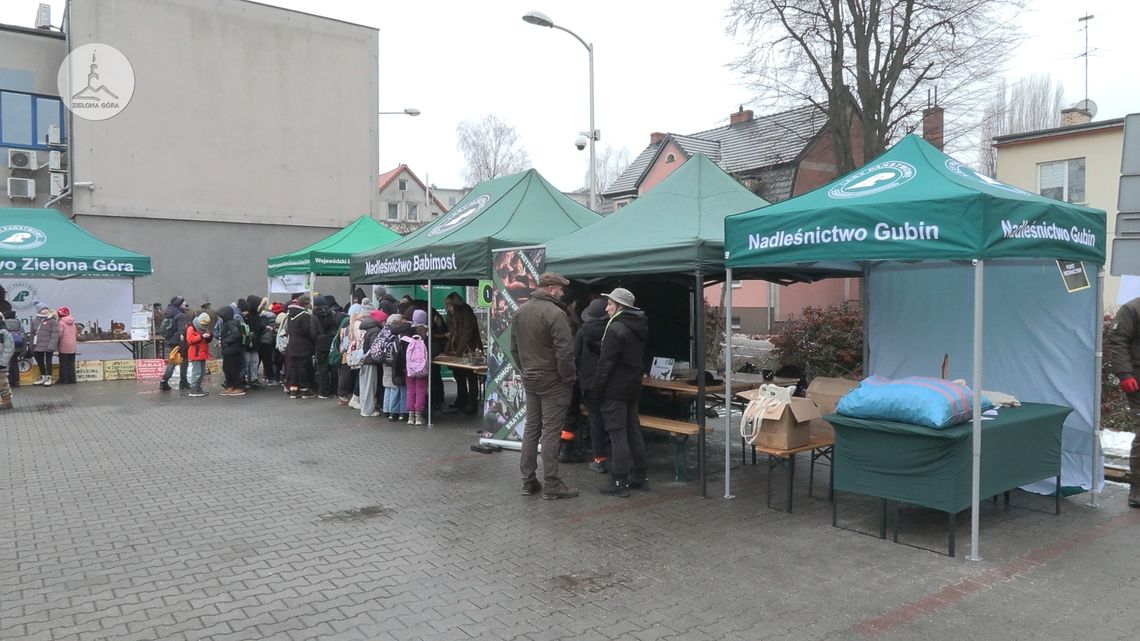 Kolejna edycja "Eko Choinki"