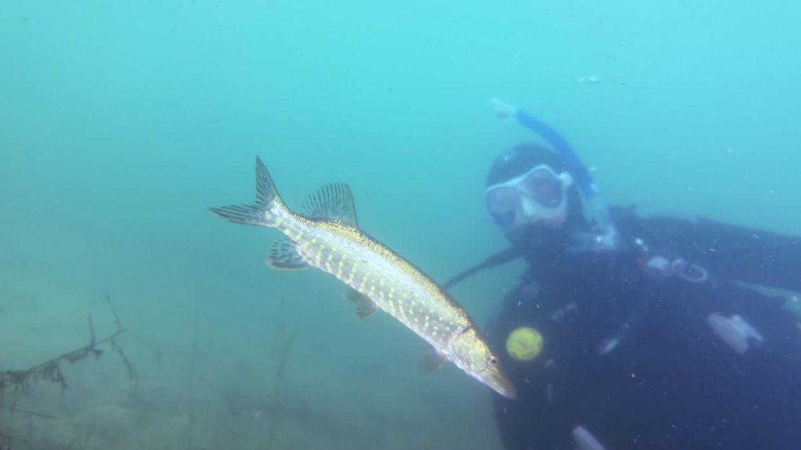 Lubuskie Pełne Pasji - podwodna przygoda (odc. 24)