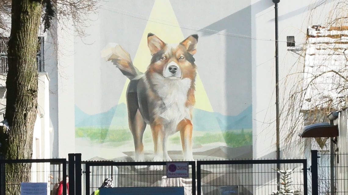 Lubuskie Pełne Pasji - Schronisko dla zwierząt w Zielonej Górze