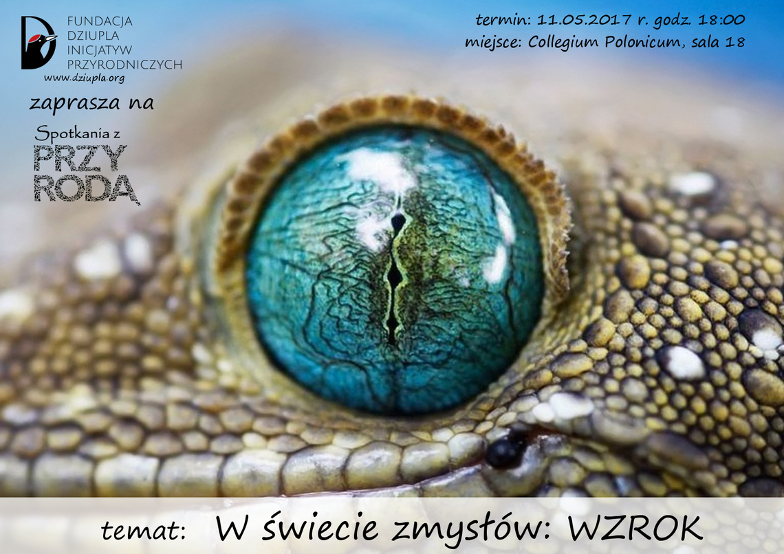 MAJOWE SPOTKANIE Z PRZYRODĄ 