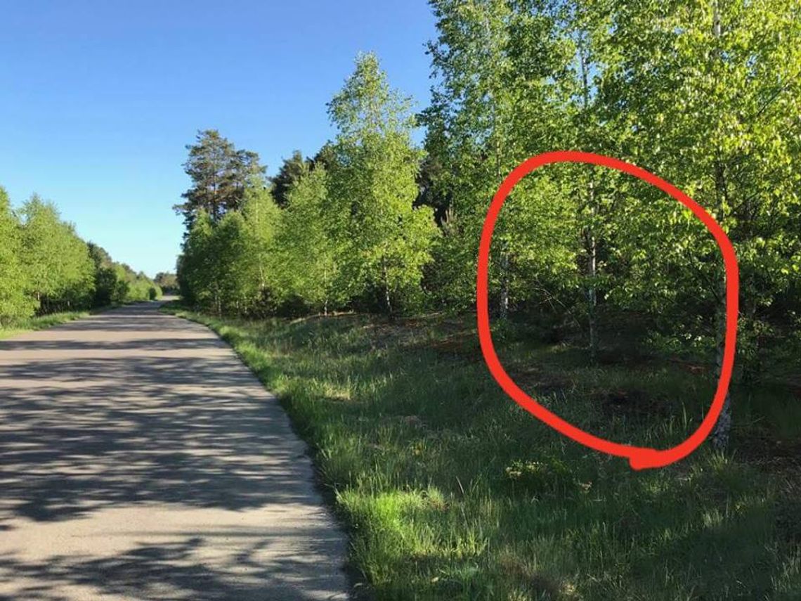 Nagi mężczyzna w Kunowicach Nagi mężczyzna w Kunowicach