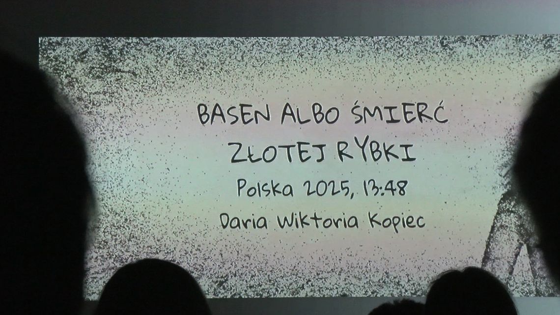Najlepsze polskie animacje w Zielonej Górze