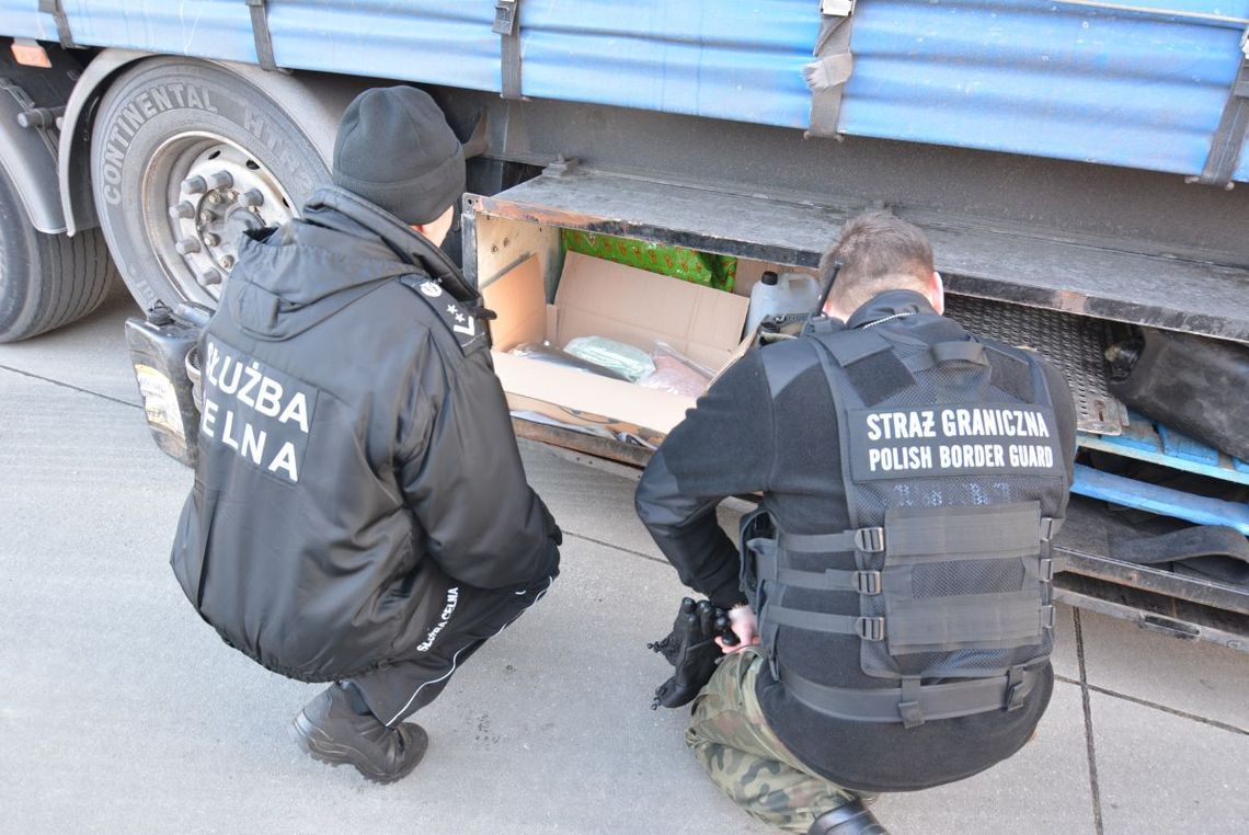 NARKOTYKI W CIĘŻARÓWCE WJEŻDŻAJĄCEJ DO POLSKI NARKOTYKI W CIĘŻARÓWCE WJEŻDŻAJĄCEJ DO POLSKI