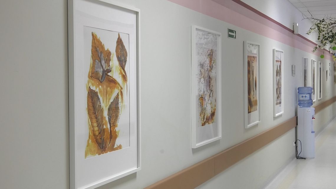 Obrazy namalowane przez seniorów ozdabiają ściany słubickiego ZOL-u