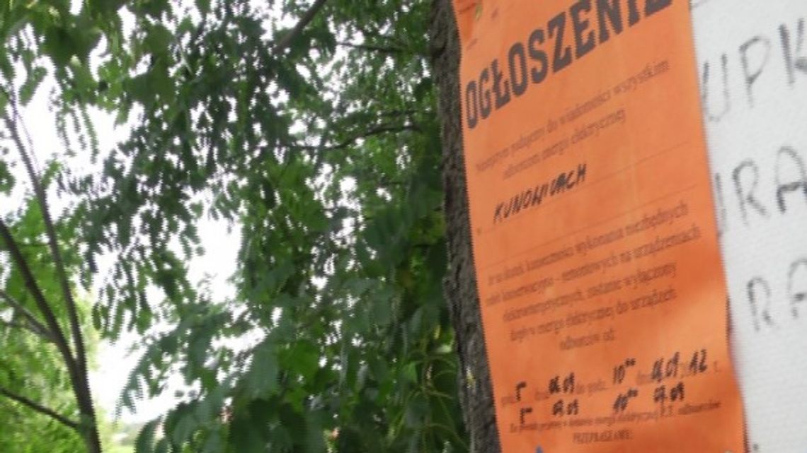 OGŁOSZENIE OD FIRMY ENEA