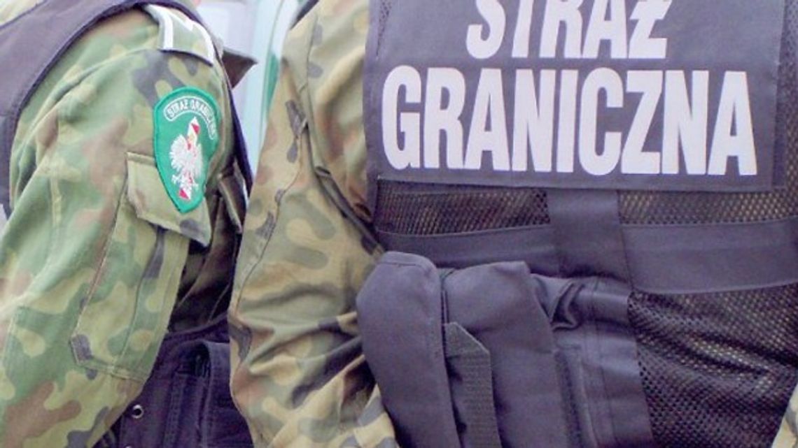 Pięciu cudzoziemców zatrzymanych