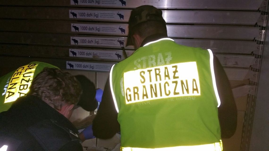 Pół miliona papierosów ukryte w chłodni Pół miliona papierosów ukryte w chłodni