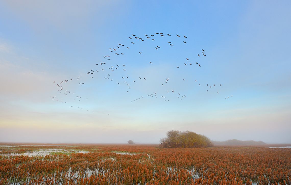 PRZYJDŹ NA SPOTKANIE I ROZWIŃ SKRZYDŁA WE WŁASNYM BIZNESIE