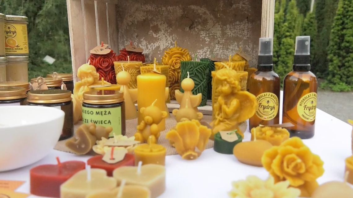 Pszczoły w centrum uwagi – „Bzzzzz, czyli Dzień Pszczoły” w Bajkowej Zagrodzie