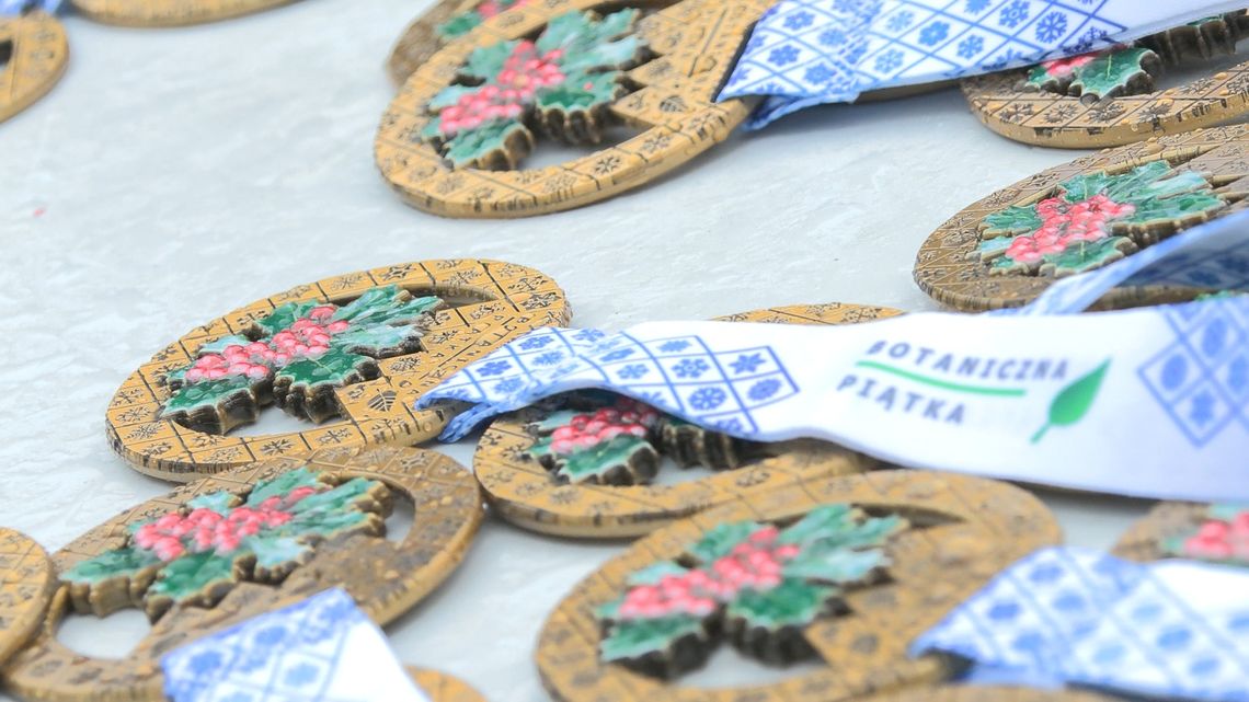 Salon Immersji w Bibliotece Norwida