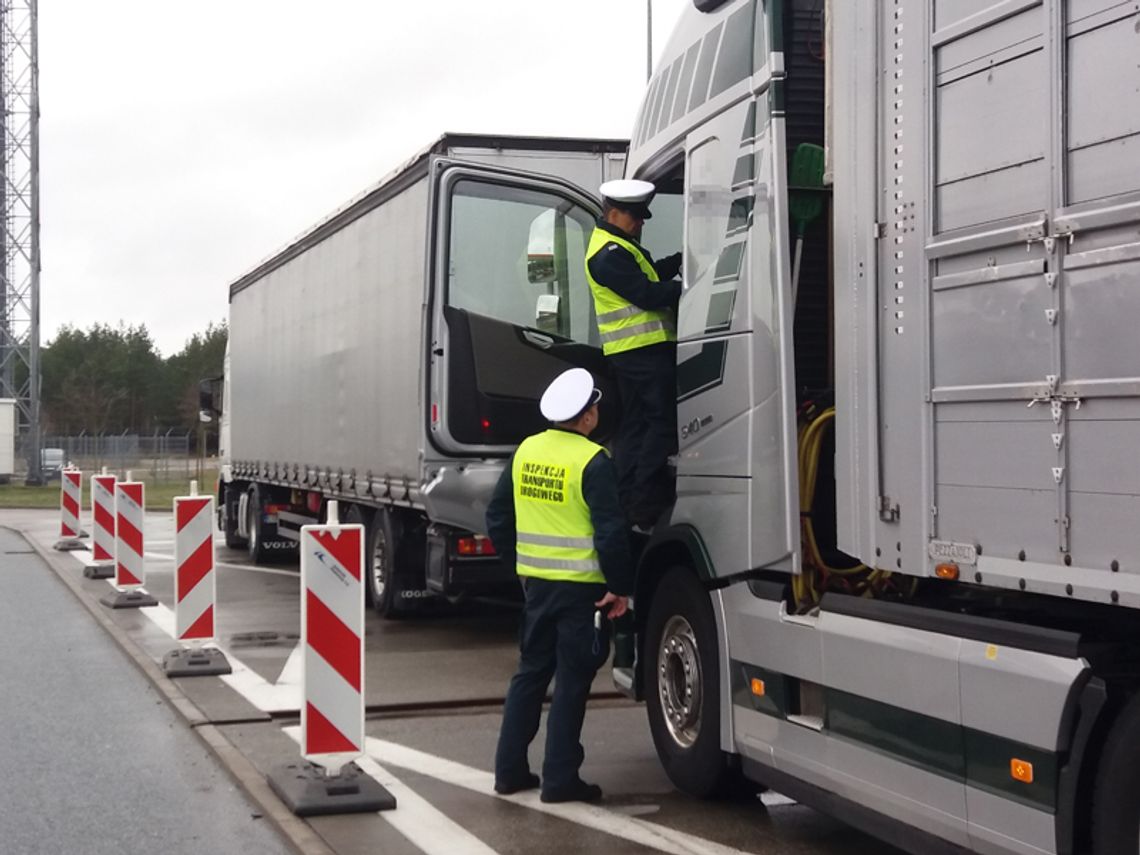SŁUBICCY POLICJANCI PODSUMOWALI DZIAŁANIA - „BUS I TRUCK” [FOTO]