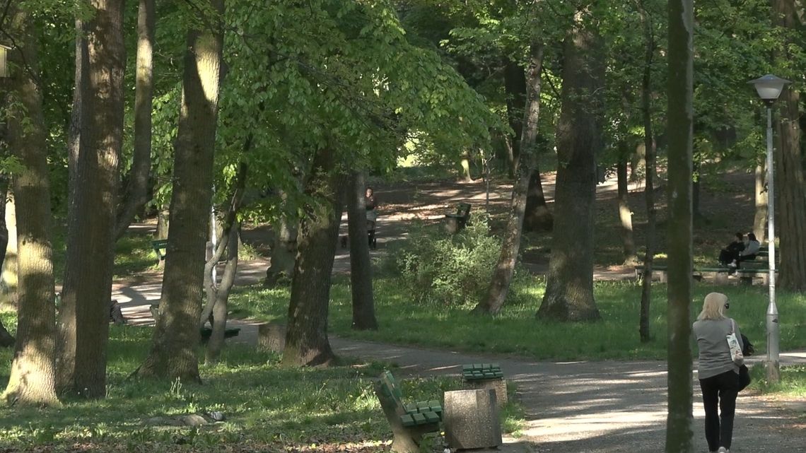 Sonda uliczna – Plany mieszkańców Zielonej Góry na majówkę