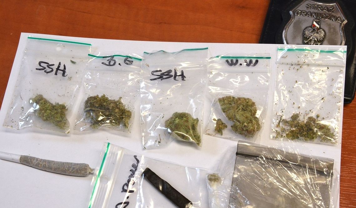 SUBSTANCJE NARKOTYCZNE W AUTOBUSIE