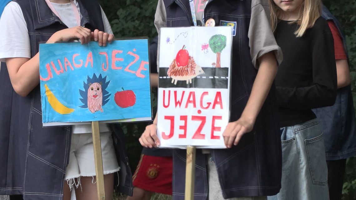 Uwaga na jeże! Dzieci przypominają kierowcom o bezpieczeństwie Uwaga na jeże! Dzieci przypominają kierowcom o bezpieczeństwie