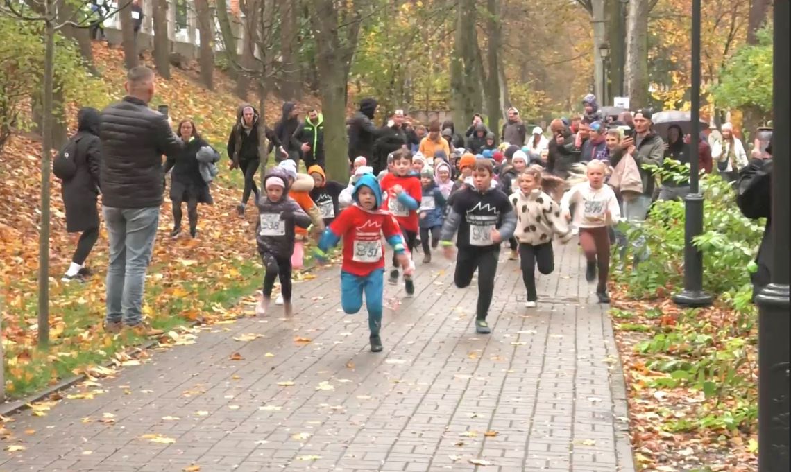 XII edycja Biegu Jeża w Parku Tysiąclecia w Zielonej Górze.