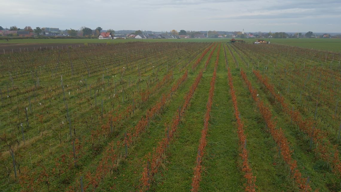 Zabytkowe Perły Województwa Lubuskiego odc. 10 (Muzeum Obozów Jenieckich w Żaganiu | Winnica Sagan)