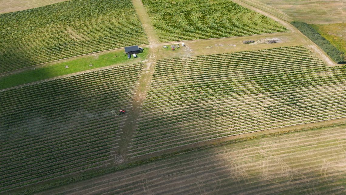 Zabytkowe Perły Województwa Lubuskiego odc. 8 (Winnica Aris)