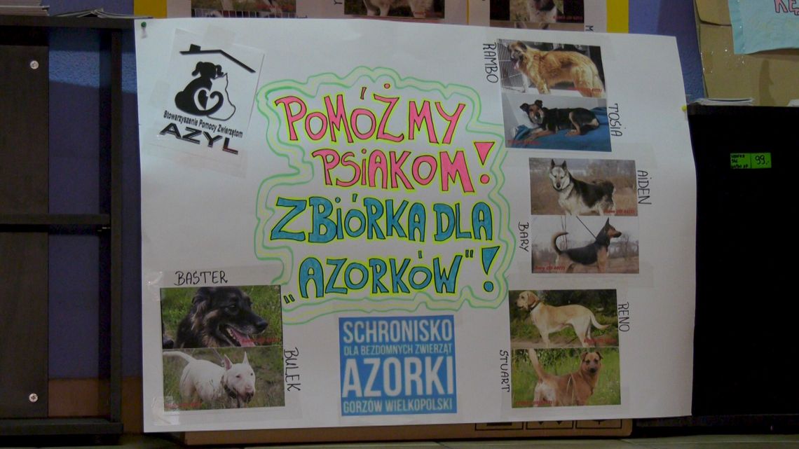 Zbiórka dla Azorków