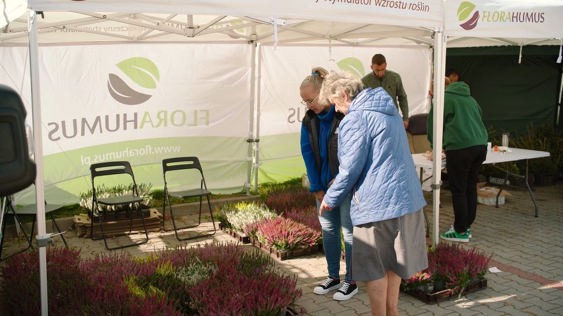 Zbiórka elektroodpadów w Świebodzinie Zbiórka elektroodpadów w Świebodzinie