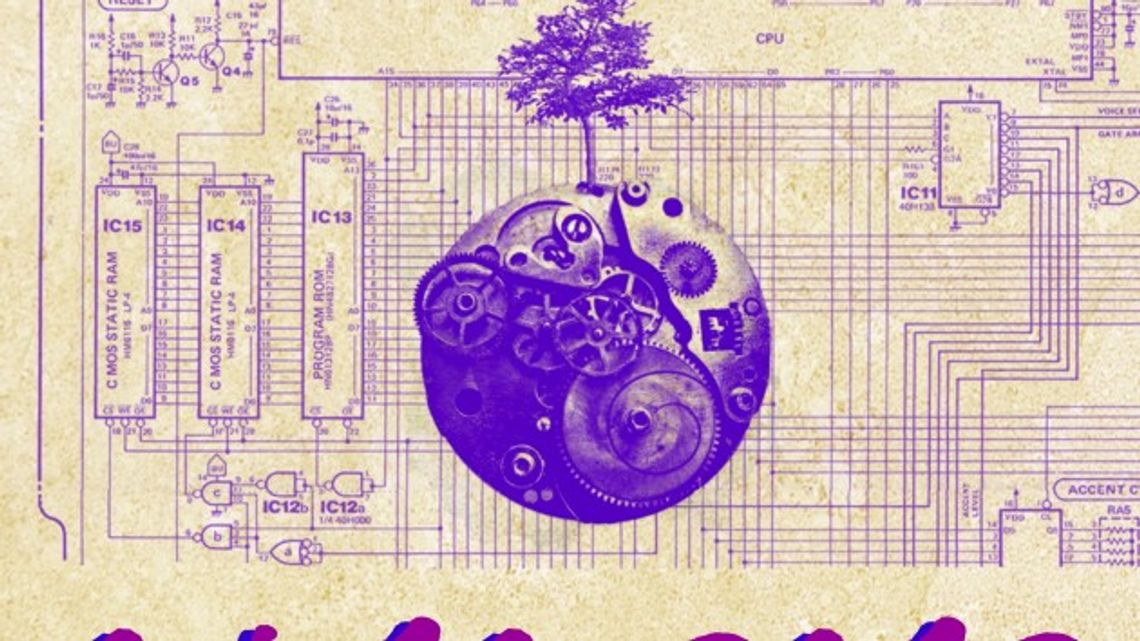 ZEBRA w Słubicach ZEBRA w Słubicach