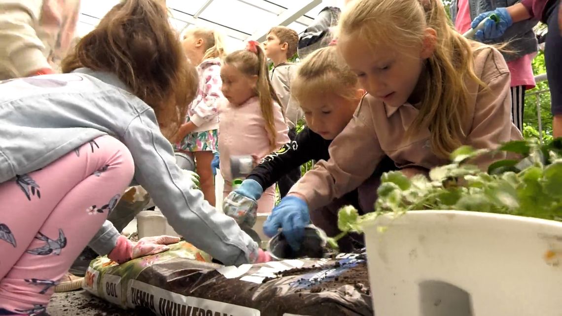 Zielony Zakątek Wiedzy - Ekologiczny Taras Biblioteki w Słubicach