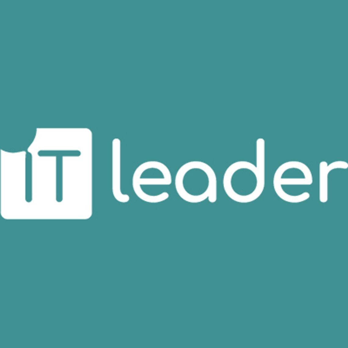 IT Leader - Audyty IT Poznań